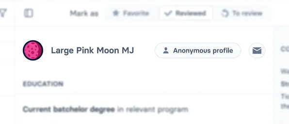 Anonymous candidate header, aliased as 'Large Pink Moon' plus their initials. Their avatar has a pink moon illustration